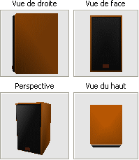 enceinte - amber